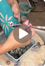 Ground Up Pottery