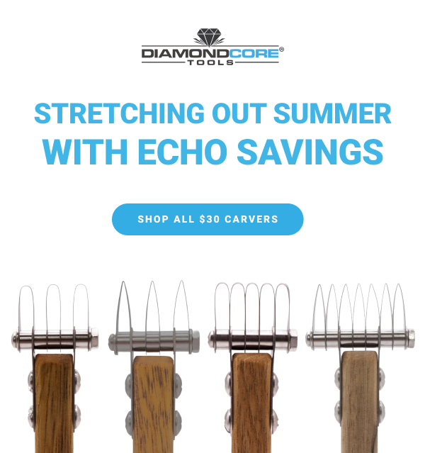 STRETCHING OUT SUMMER WITH ECHO SAVINGS SHOP ALL $30 CARVERS